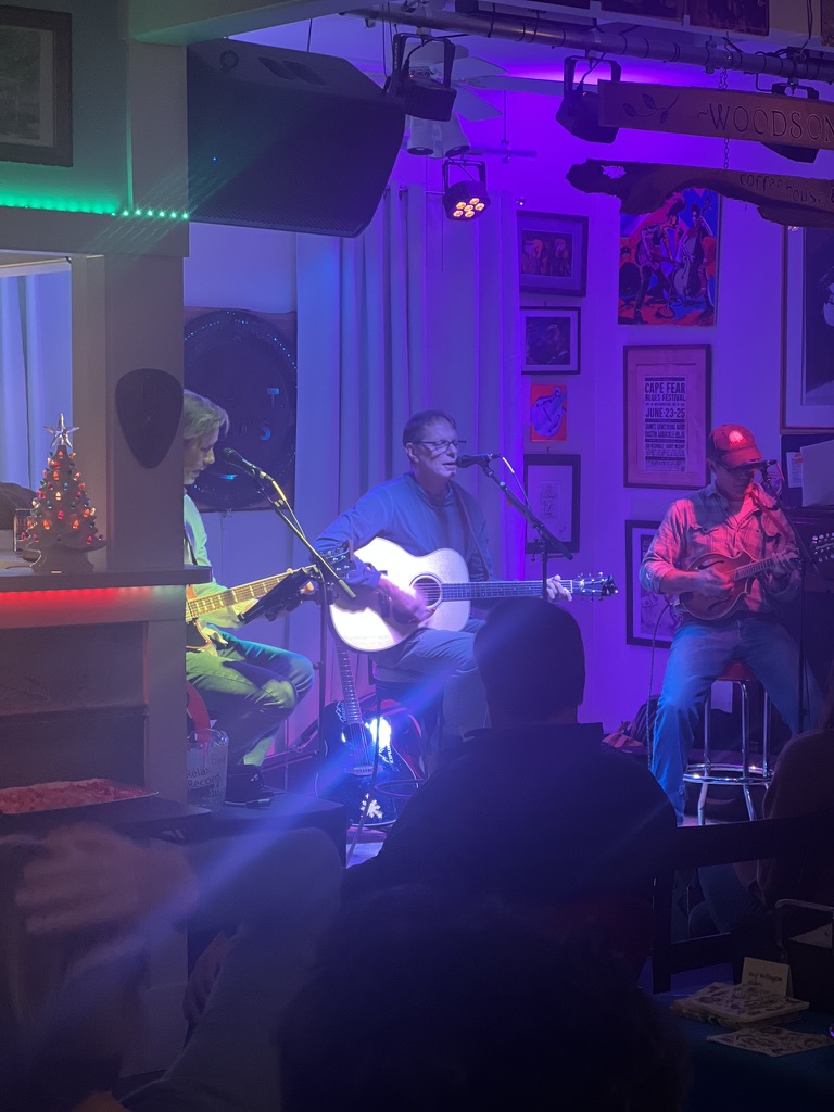 The Noseeums performing live with acoustic instruments under purple stage lights